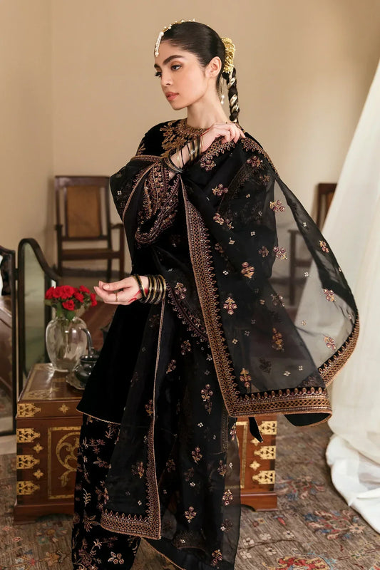 Embroidered Velvet Dress With Organza embroidered Dopata