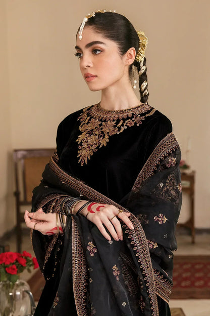 Embroidered Velvet Dress With Organza embroidered Dopata