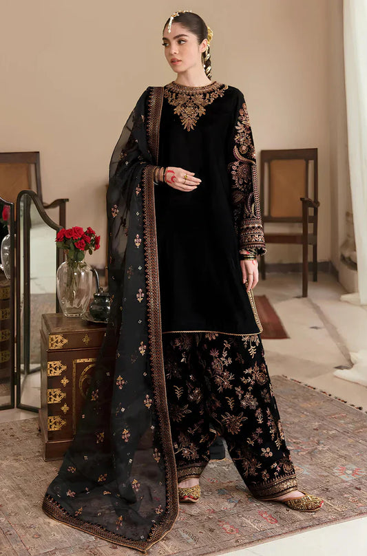 Embroidered Velvet Dress With Organza embroidered Dopata